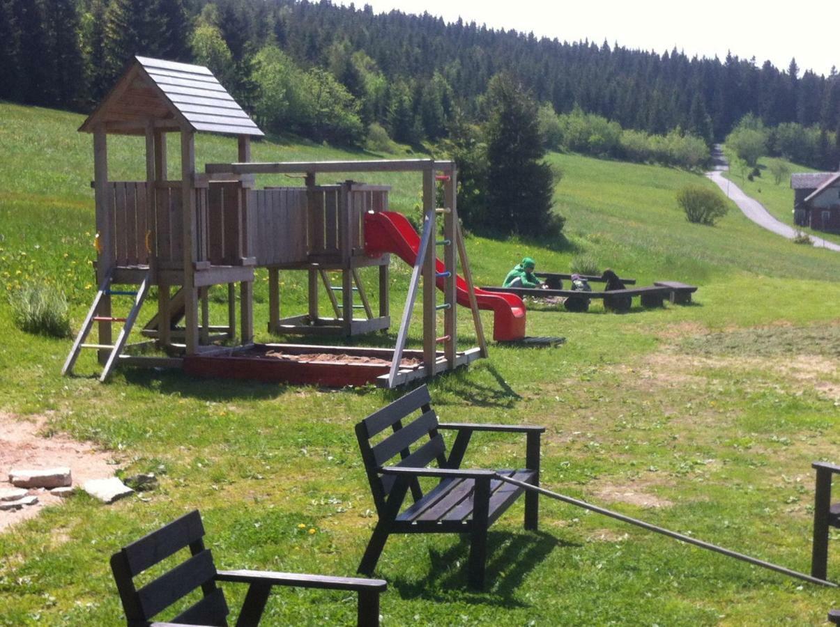 Horsky Penzion Cernava Horní Malá Úpa Buitenkant foto