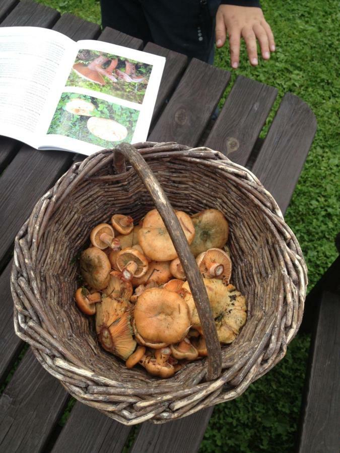 Horsky Penzion Cernava Horní Malá Úpa Buitenkant foto
